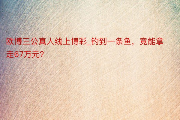 欧博三公真人线上博彩_钓到一条鱼，竟能拿走67万元？