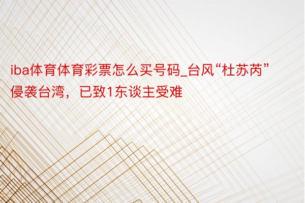 iba体育体育彩票怎么买号码_台风“杜苏芮”侵袭台湾，已致1东谈主受难