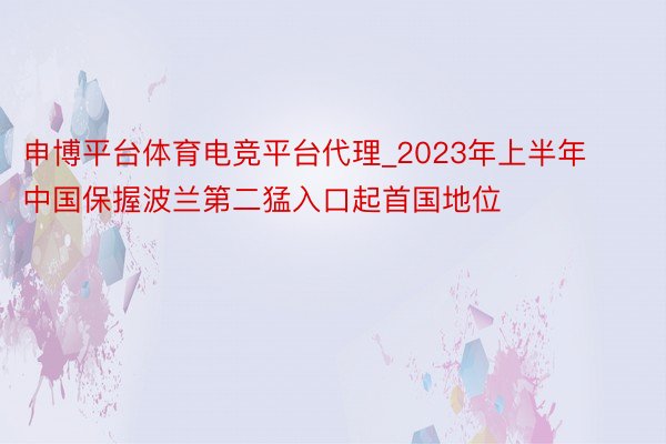 申博平台体育电竞平台代理_2023年上半年中国保握波兰第二猛入口起首国地位