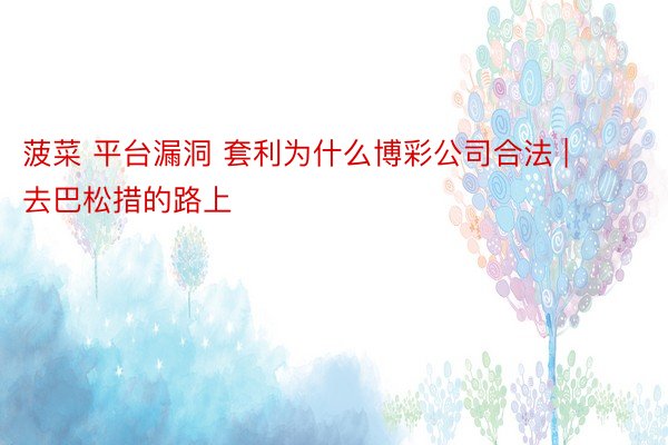 菠菜 平台漏洞 套利为什么博彩公司合法 | 去巴松措的路上