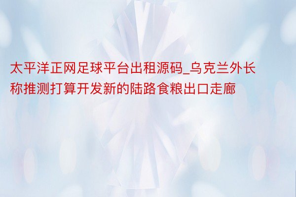 太平洋正网足球平台出租源码_乌克兰外长称推测打算开发新的陆路食粮出口走廊
